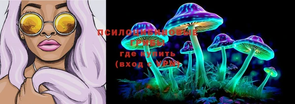 мет Армянск